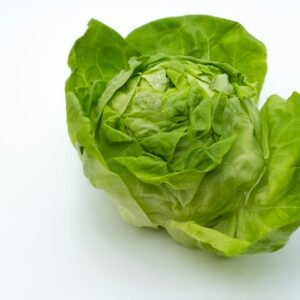 a head of lettuce on a white background