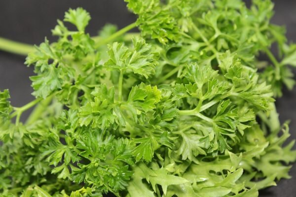 Parsley