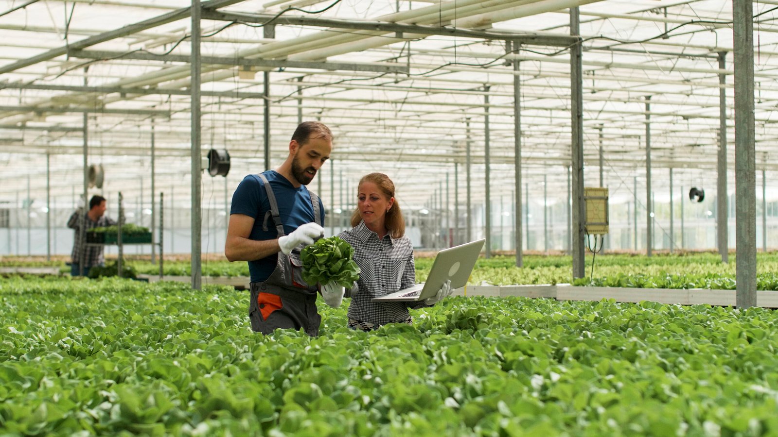 Revolutionizing Farming