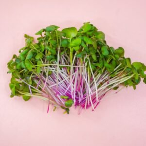microgreen radish
