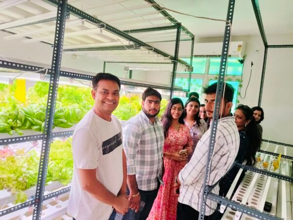 2-Day Hydroponic Training Workshop - Image 3