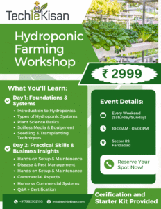 2-Day Hydroponic Training Workshop