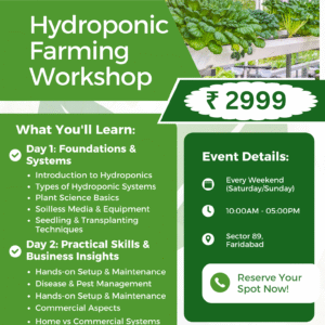 2-Day Hydroponic Training Workshop