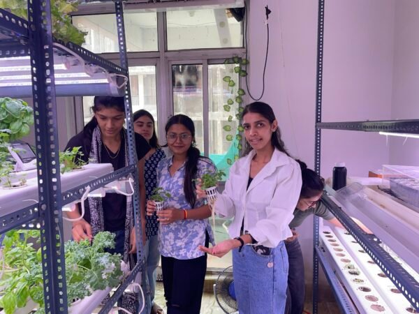 2-Day Hydroponic Training Workshop - Image 6