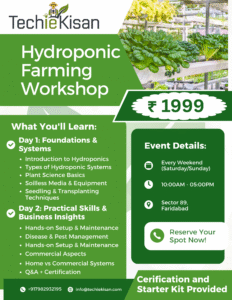 2-Day Hydroponic Training Workshop