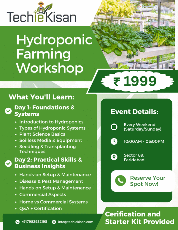 2-Day Hydroponic Training Workshop