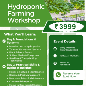 2-Day Hydroponic Training Workshop